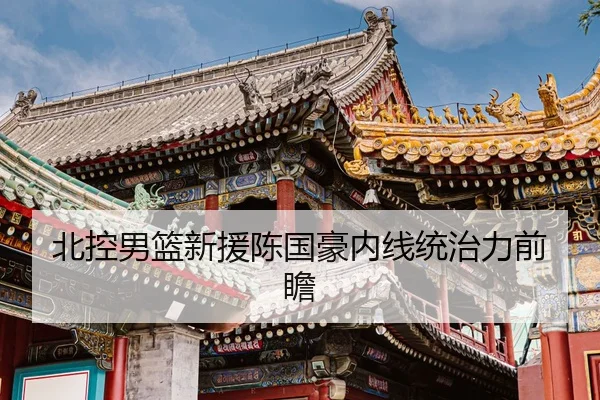 北控男篮新援陈国豪内线统治力前瞻