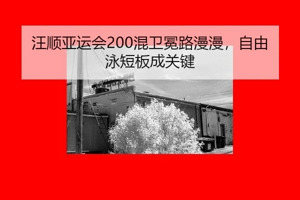 wang-shun-ya-yun-hui-hun-wei-mian-lu-man-man-zi-you-yong-duan-ban-cheng-guan-jian-3-818.jpg