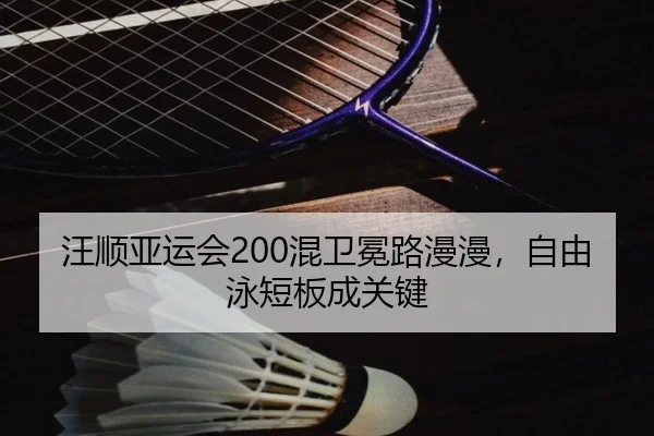 汪顺亚运会200混卫冕路漫漫，自由泳短板成关键