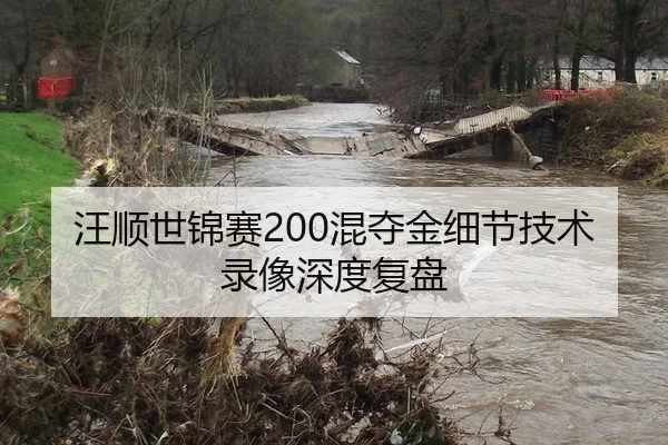 汪顺世锦赛200混夺金细节技术录像深度复盘