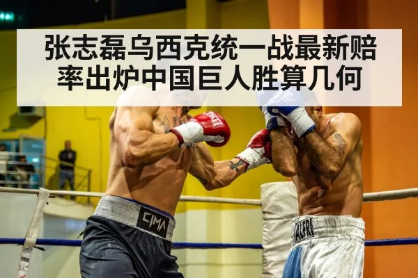 张志磊乌西克统一战最新赔率出炉中国巨人胜算几何