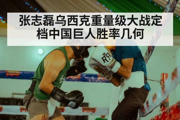 张志磊乌西克重量级大战定档中国巨人胜率几何